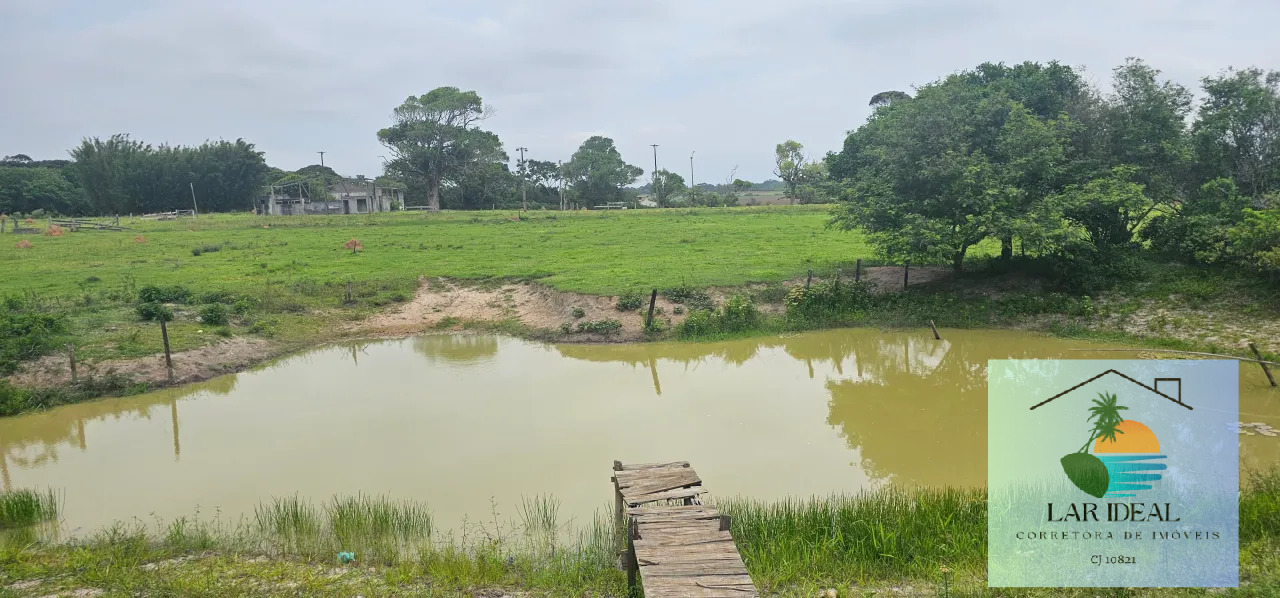 Fazenda à venda com 2 quartos, 7800m² - Foto 10