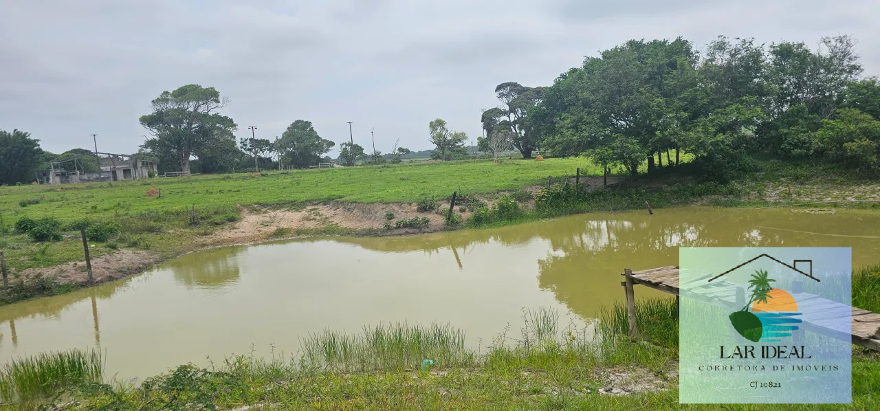 Fazenda à venda com 2 quartos, 7800m² - Foto 9