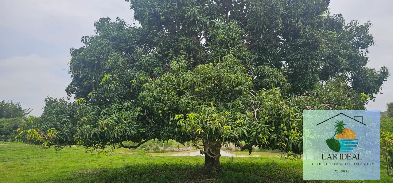 Fazenda à venda com 2 quartos, 7800m² - Foto 14