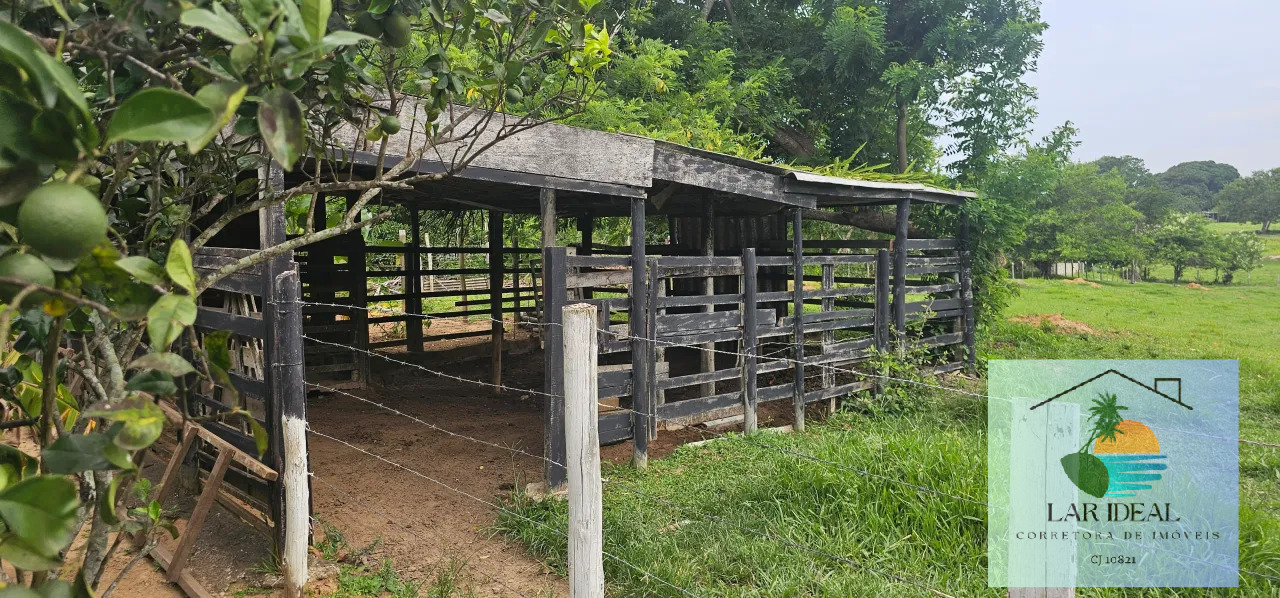 Fazenda à venda com 2 quartos, 7800m² - Foto 15